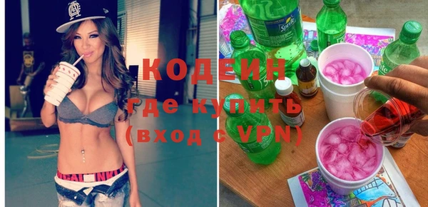 ГАЛЛЮЦИНОГЕННЫЕ ГРИБЫ Богданович