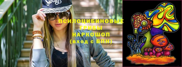 гидра Иннополис