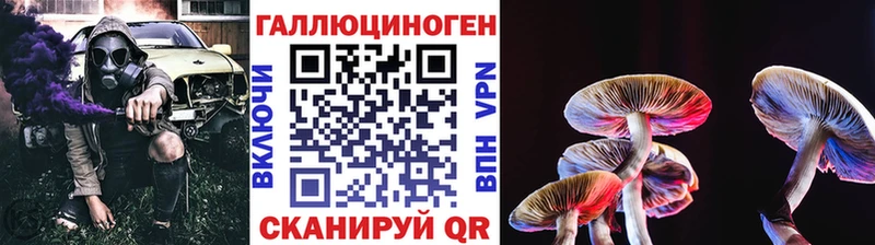 Галлюциногенные грибы MAGIC MUSHROOMS  OMG маркетплейс  Велиж 