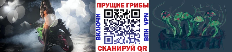 Галлюциногенные грибы Psilocybe Велиж